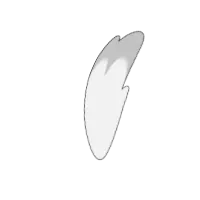 Tail Size_002